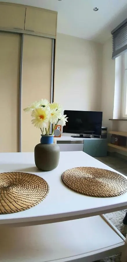 Appartement Secret Apartament 1 Poznań